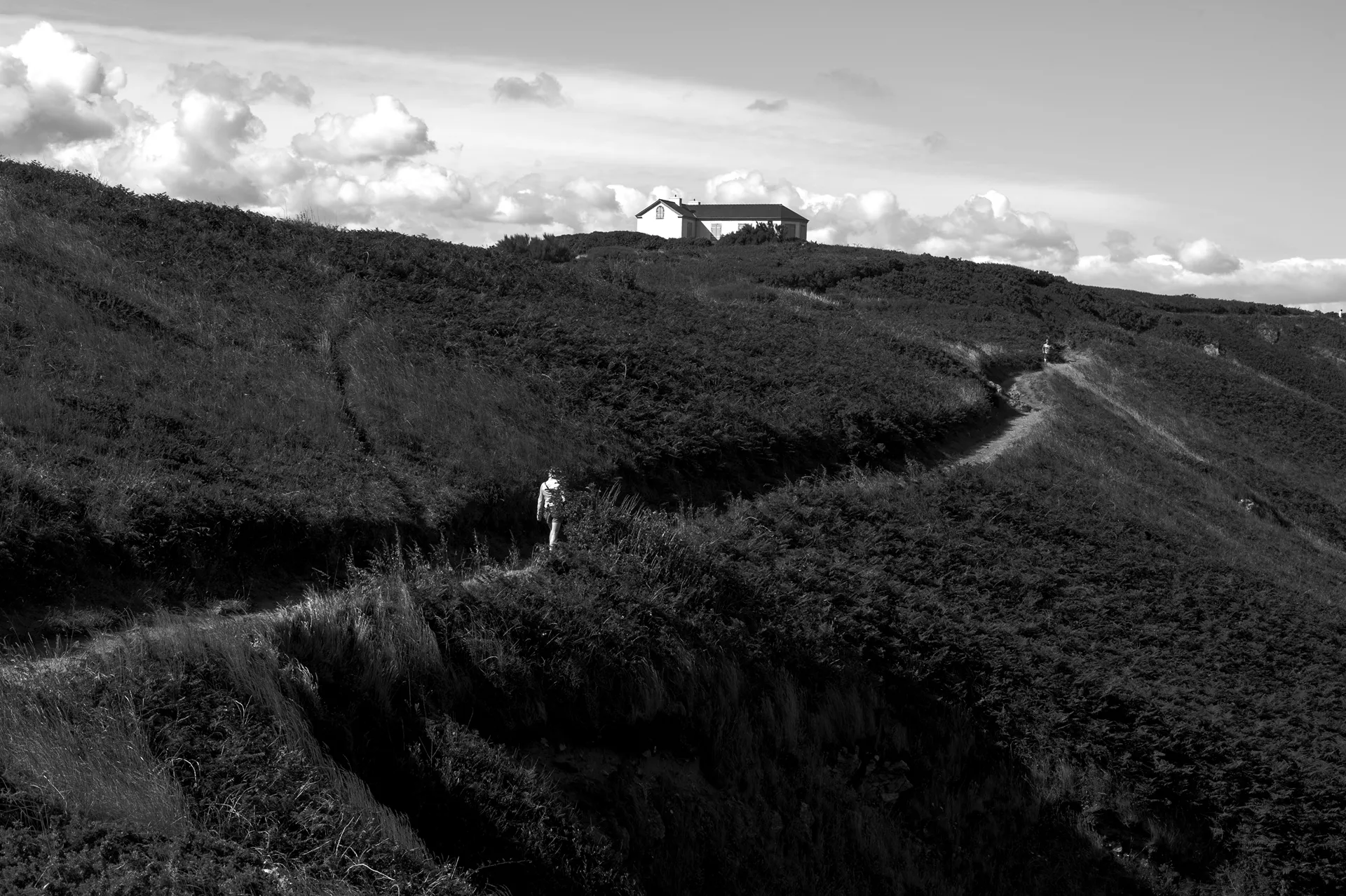 Chemin dans un vallon, en noir et blanc